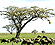 Tanzania Travel Experience