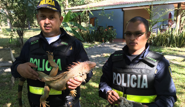 police rescuing wildlife animal